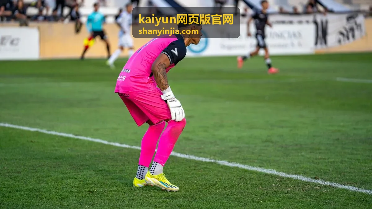kaiyun网页版官网登录前的准备步骤示意