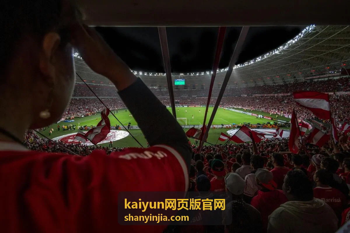kaiyun网页版官网提示信息分类与处理示意